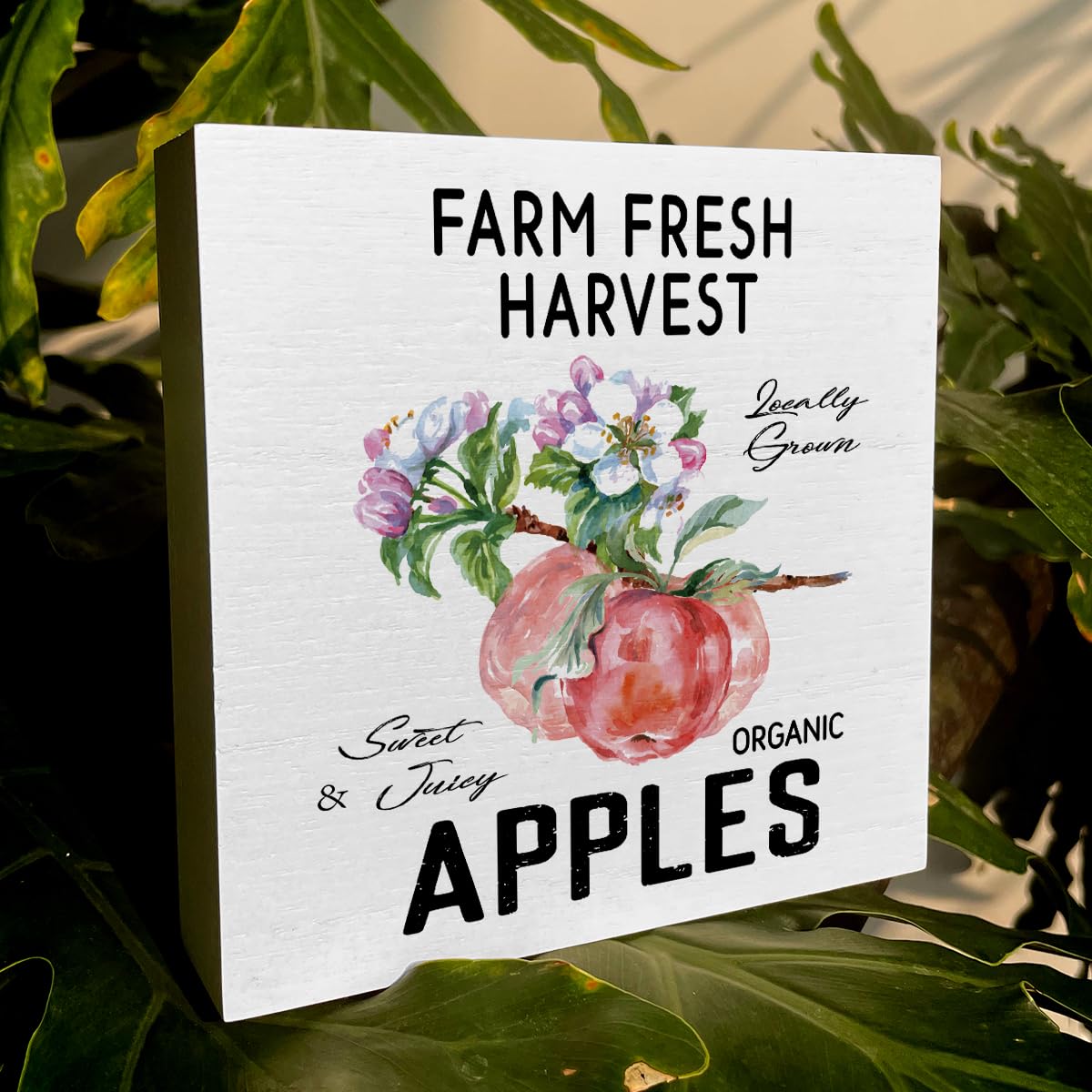 ENGVZ Apple Decor Wooden Box Sign Rustic Farmhouse Kitchen Bathroom 1x4x6in