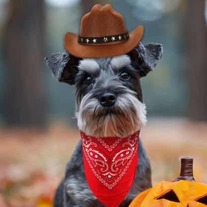PEUTIER Pet Cowboy Costume Dog Hat & Bandana Brown Red Small