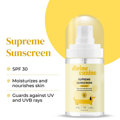 Divine Canine Summer Essentials Dog Care Kit Sunscreen Paw Balm