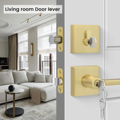 Goldenwarm Gold Dummy Door Handles Brushed Brass Levers 3 Pack