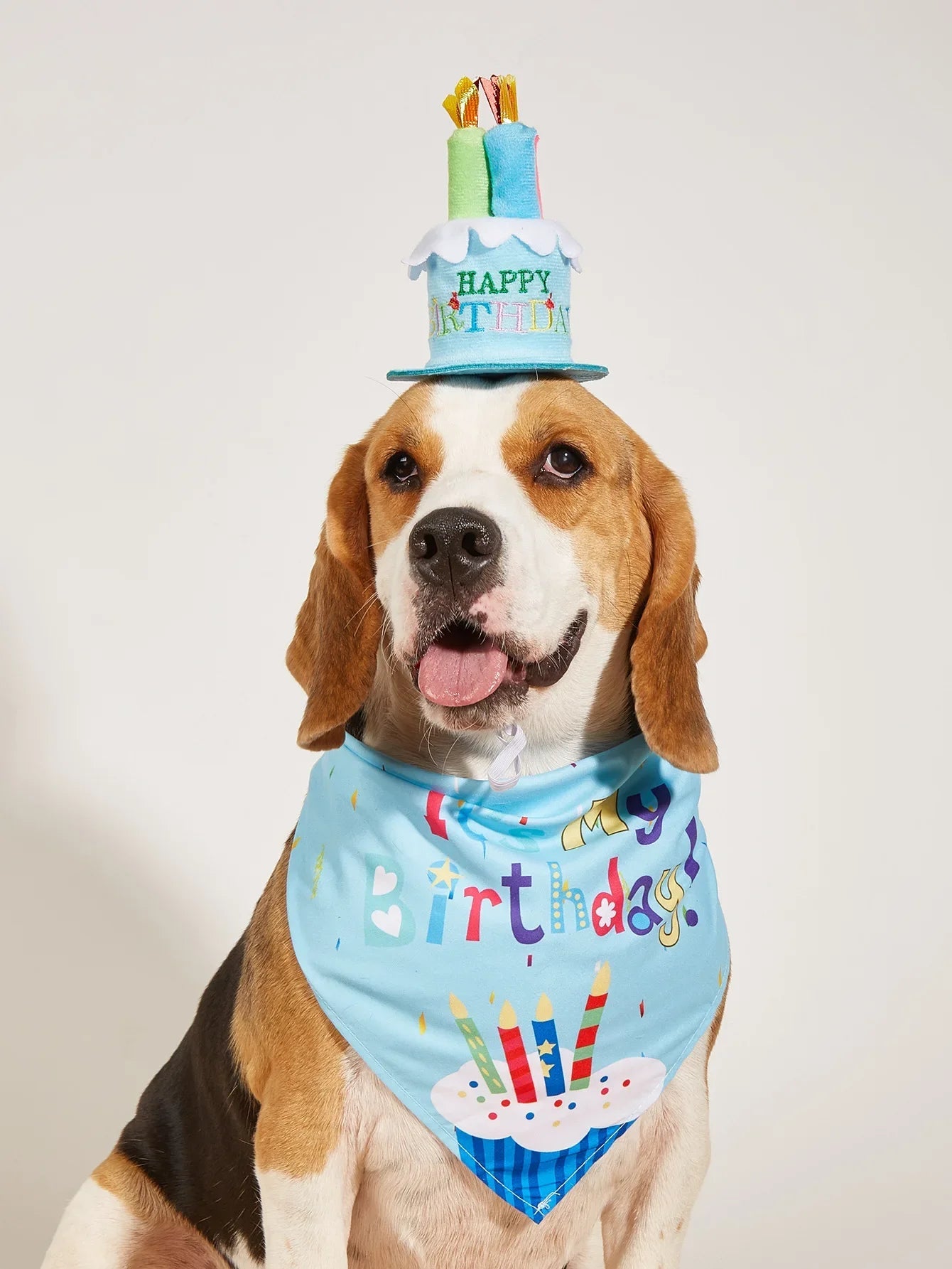 Dog Happy Birthday Decoration Dog Costume Hats Bowknot Bandana Neckerchief Bibs Banners Party Cat Dog Pets Accessories Perros