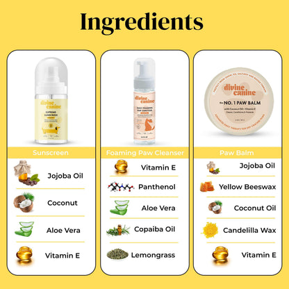Divine Canine Summer Essentials Dog Care Kit Sunscreen Paw Balm
