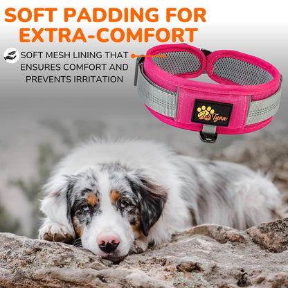 ADITYNA Durable 2-inch AirTag Dog Collar Reflective Metal Buckle Pink Size M