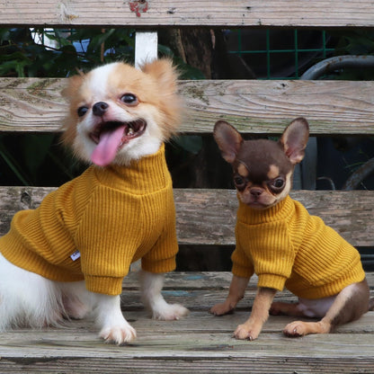 LOPHIPETS Small Dog Turtleneck Sweater Teacup Chihuahua Yorkie Yellow Size XXS