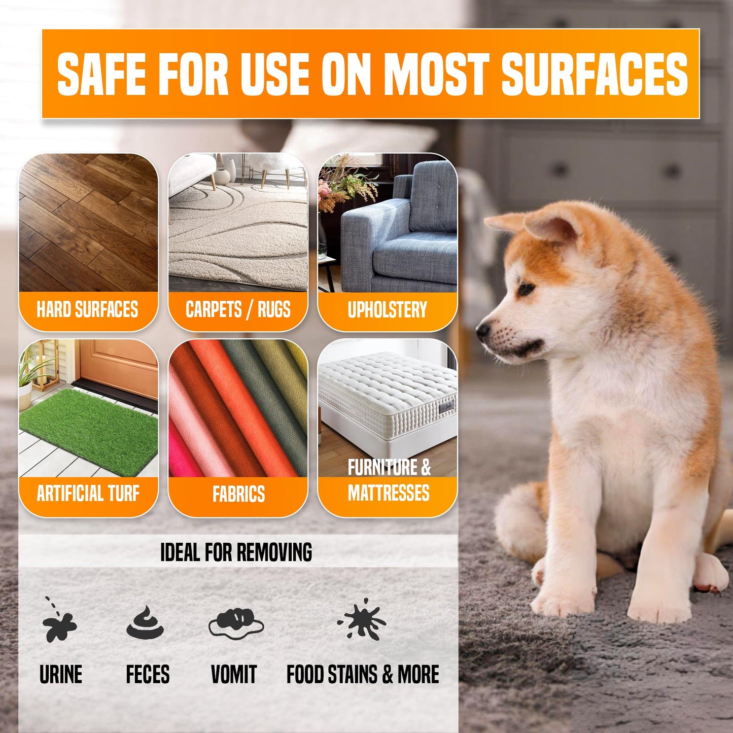 pureng PNG Vitality Stain & Odor Eliminator 16.9oz Pet Odor Neutralizer