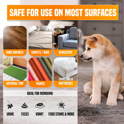 pureng PNG Vitality Stain & Odor Eliminator 16.9oz Pet Odor Neutralizer