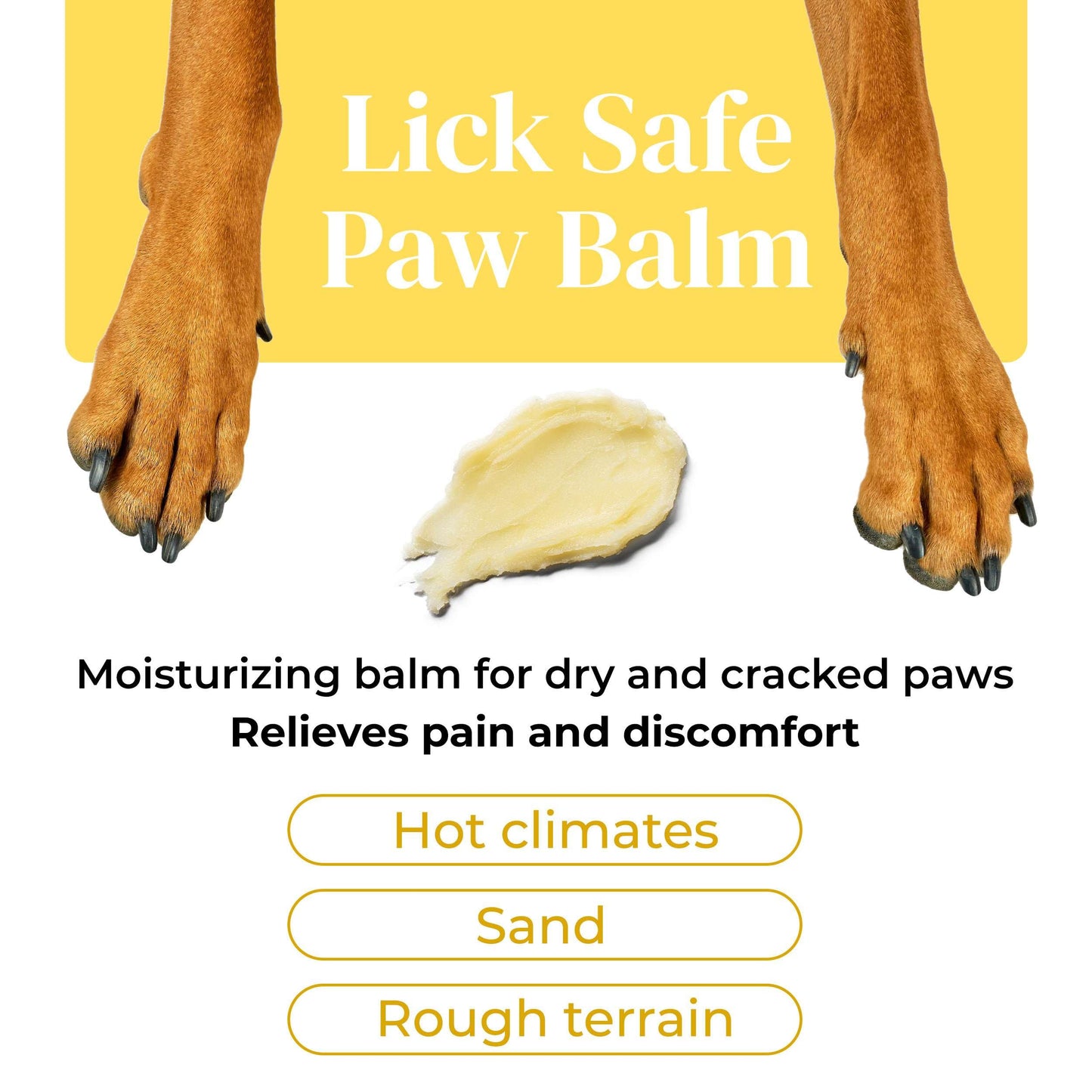 Divine Canine Summer Essentials Dog Care Kit Sunscreen Paw Balm