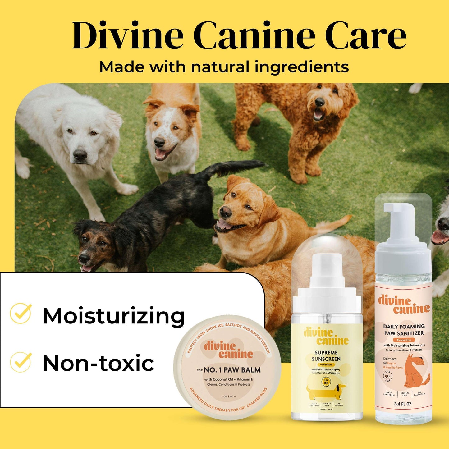 Divine Canine Summer Essentials Dog Care Kit Sunscreen Paw Balm