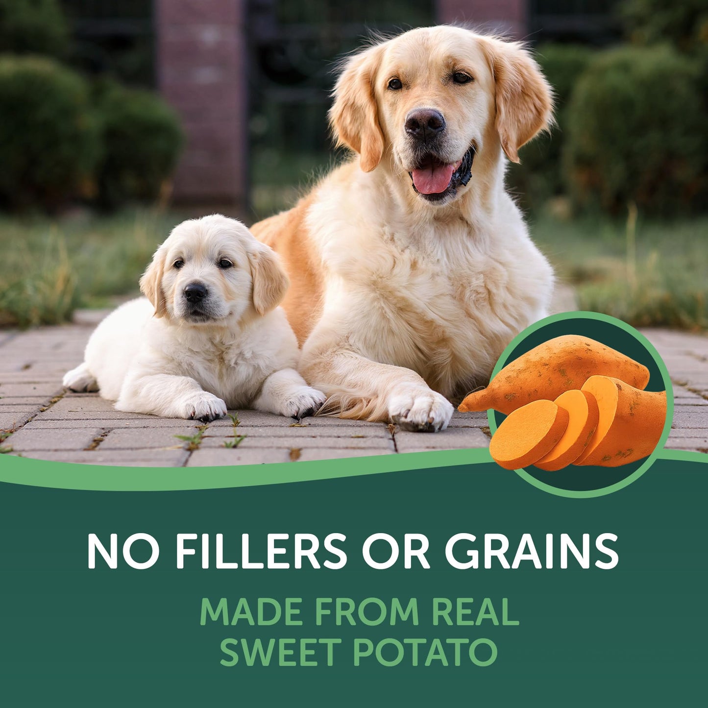 Healthfuls Sweet Potato Slices Dog Treats Grain Free Limited Ingredient 16 oz