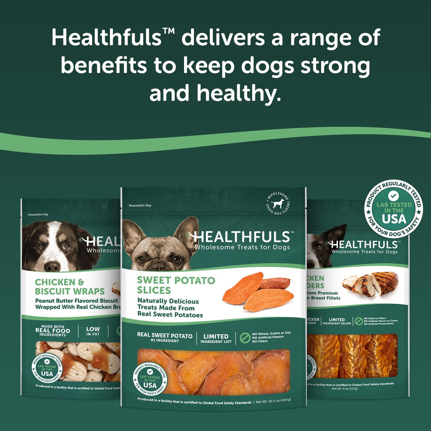Healthfuls Sweet Potato Slices Dog Treats Grain Free Limited Ingredient 16 oz
