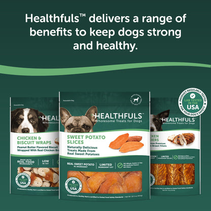 Healthfuls Sweet Potato Slices Dog Treats Grain Free Limited Ingredient 16 oz