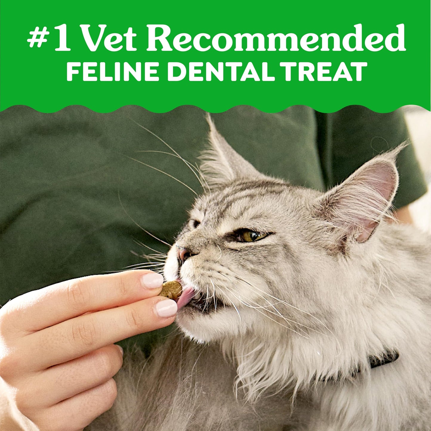 Greenies Cat Treats Adult Natural Dental Tuna Flavor 9.75 oz Tub BEST BY.02/2026