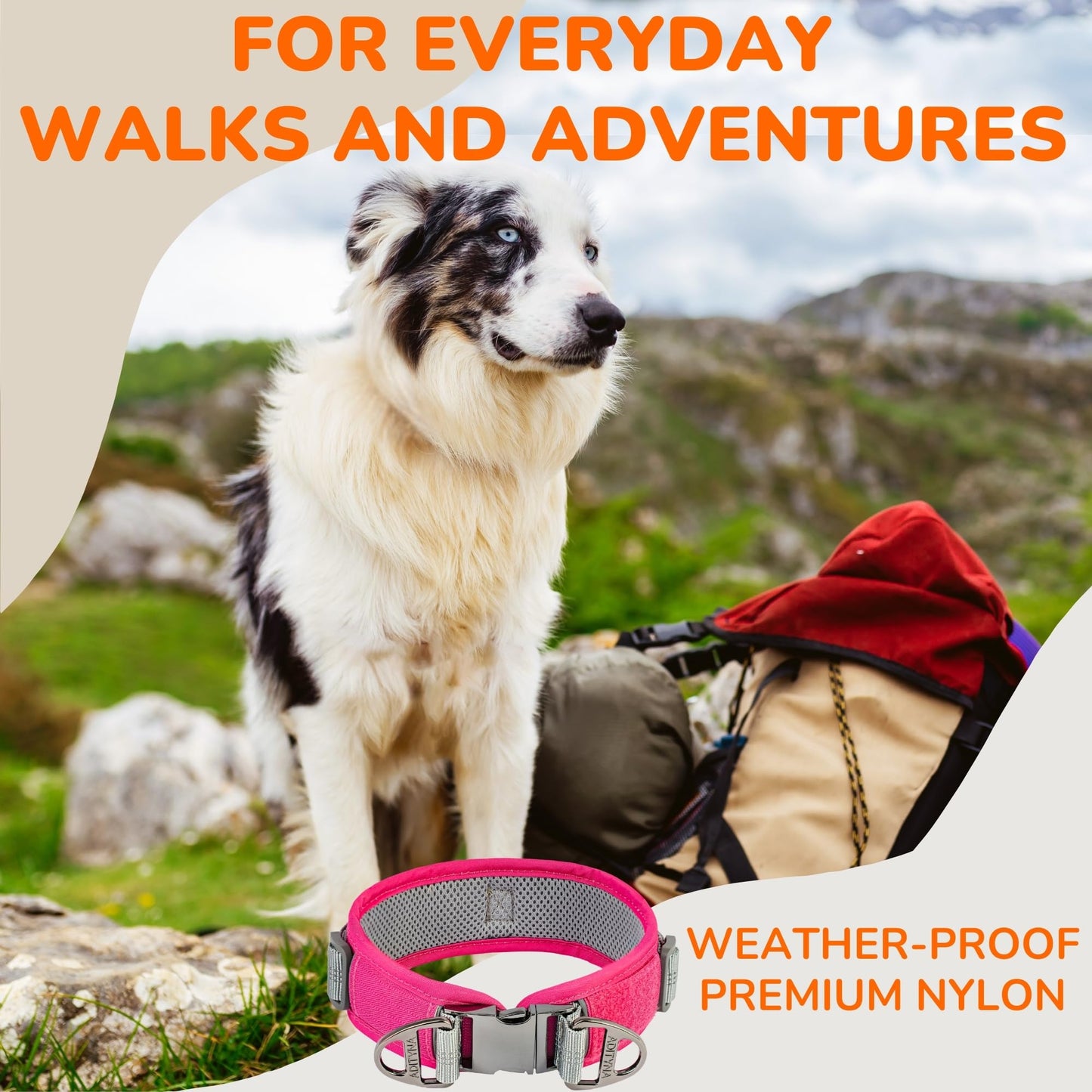 ADITYNA Durable 2-inch AirTag Dog Collar Reflective Metal Buckle Pink Size M