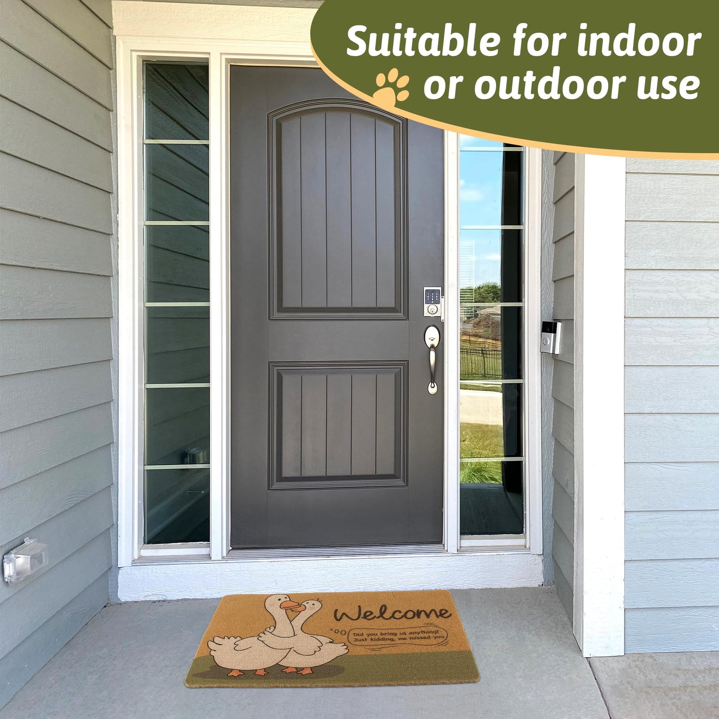 FEXIA Goose Pattern Indoor Outdoor Welcome Mat Rug 29x17 Polyester
