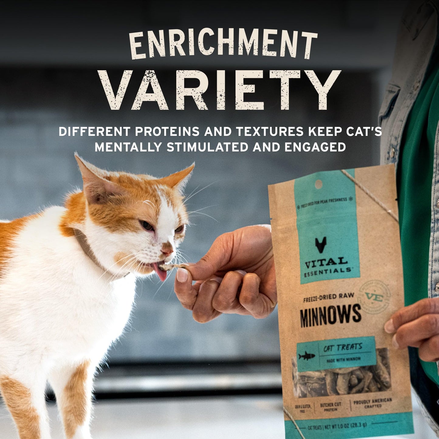 Vital Essentials Freeze Dried Cat Treats Salmon Bites Grain Free 1.1 oz