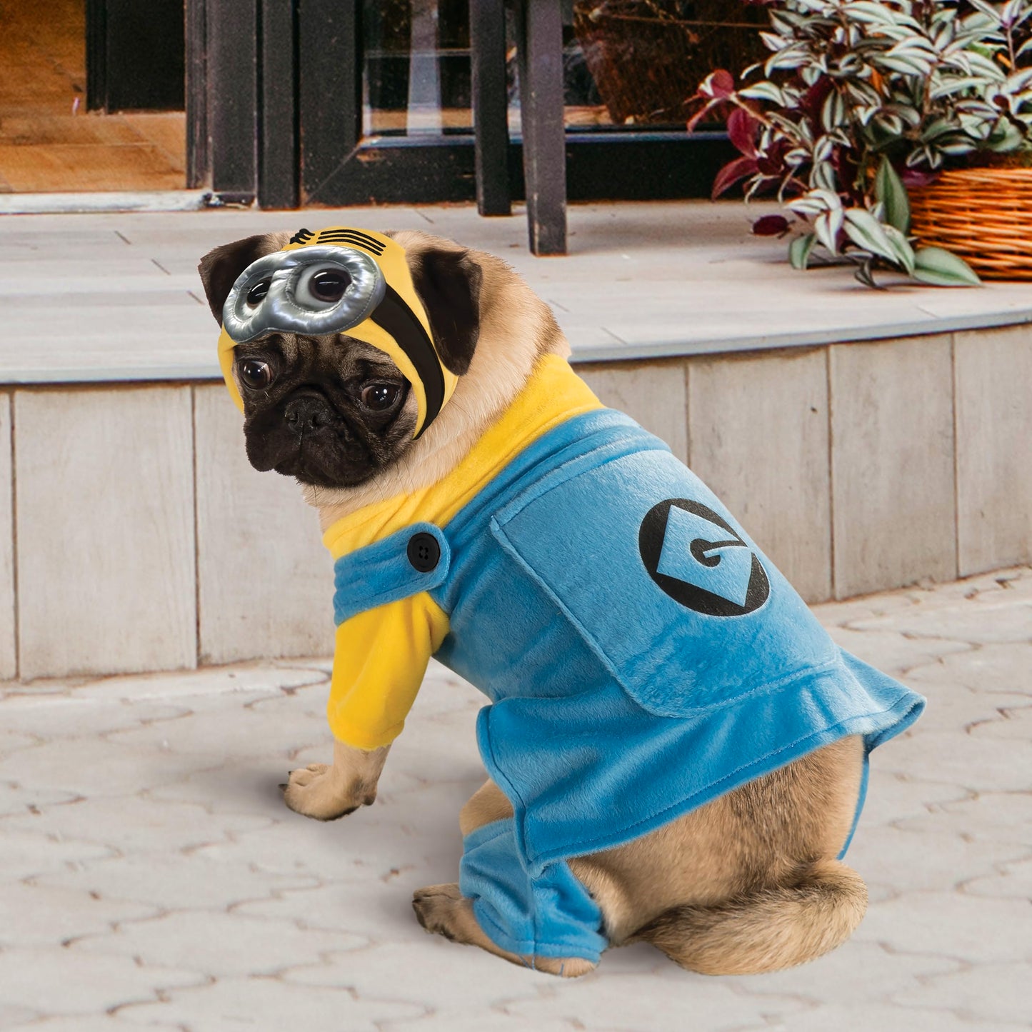 Rubies Despicable Me Minion Pet Costume Multicolor Size XL