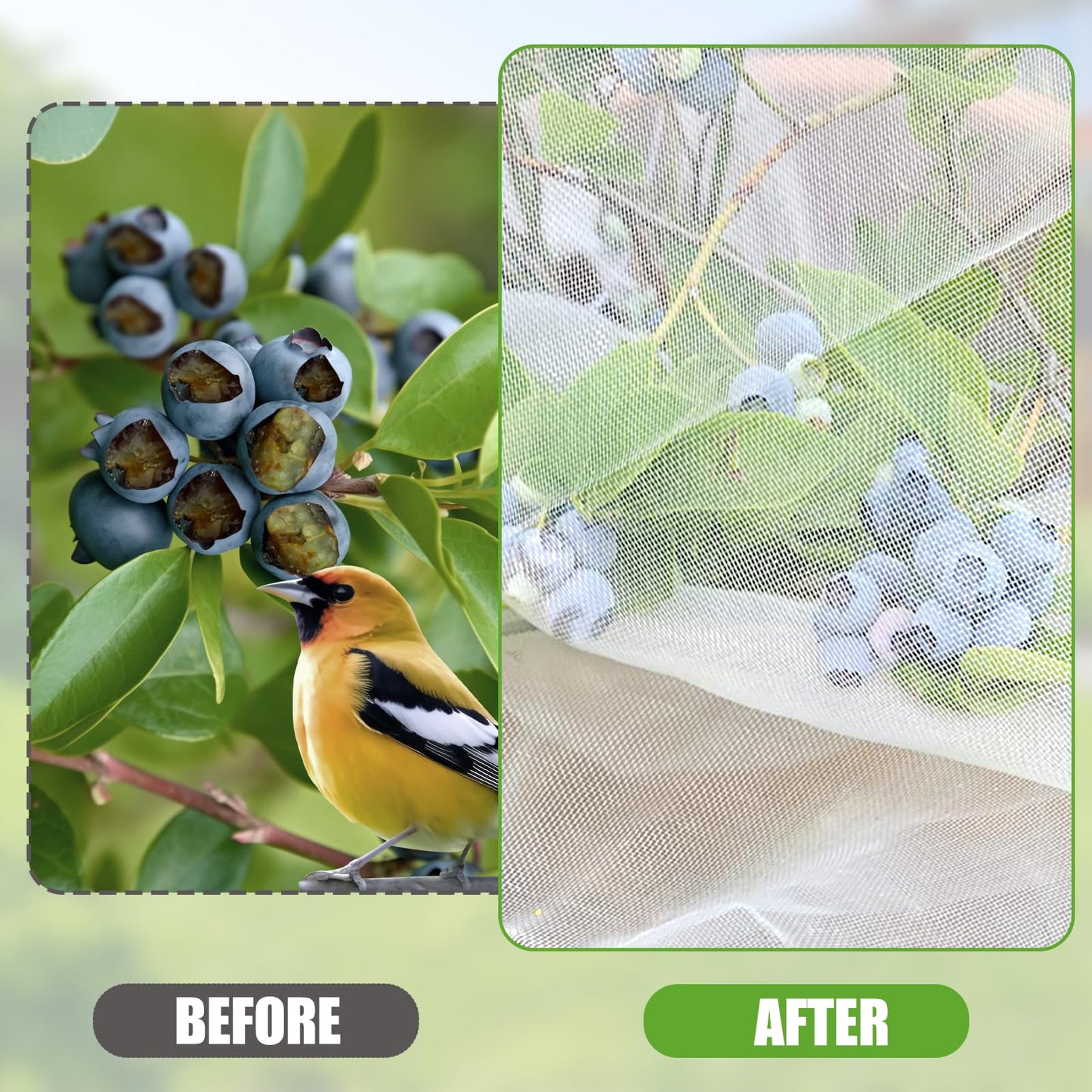 H.Romo Fruit Tree Netting 8x8ft Clear Garden Bird Pest Barrier 1 Pack