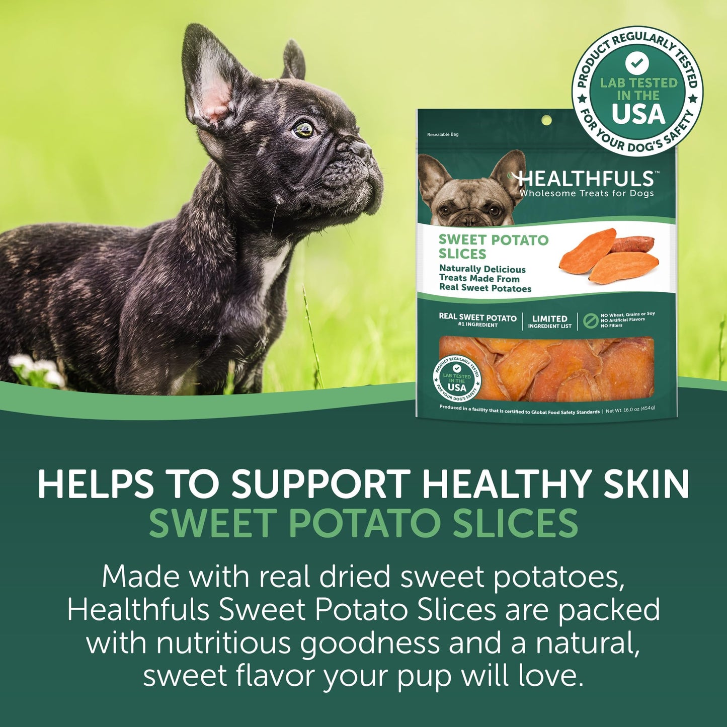 Healthfuls Sweet Potato Slices Dog Treats Grain Free Limited Ingredient 16 oz