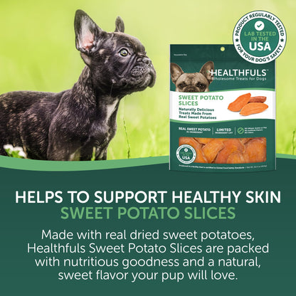 Healthfuls Sweet Potato Slices Dog Treats Grain Free Limited Ingredient 16 oz