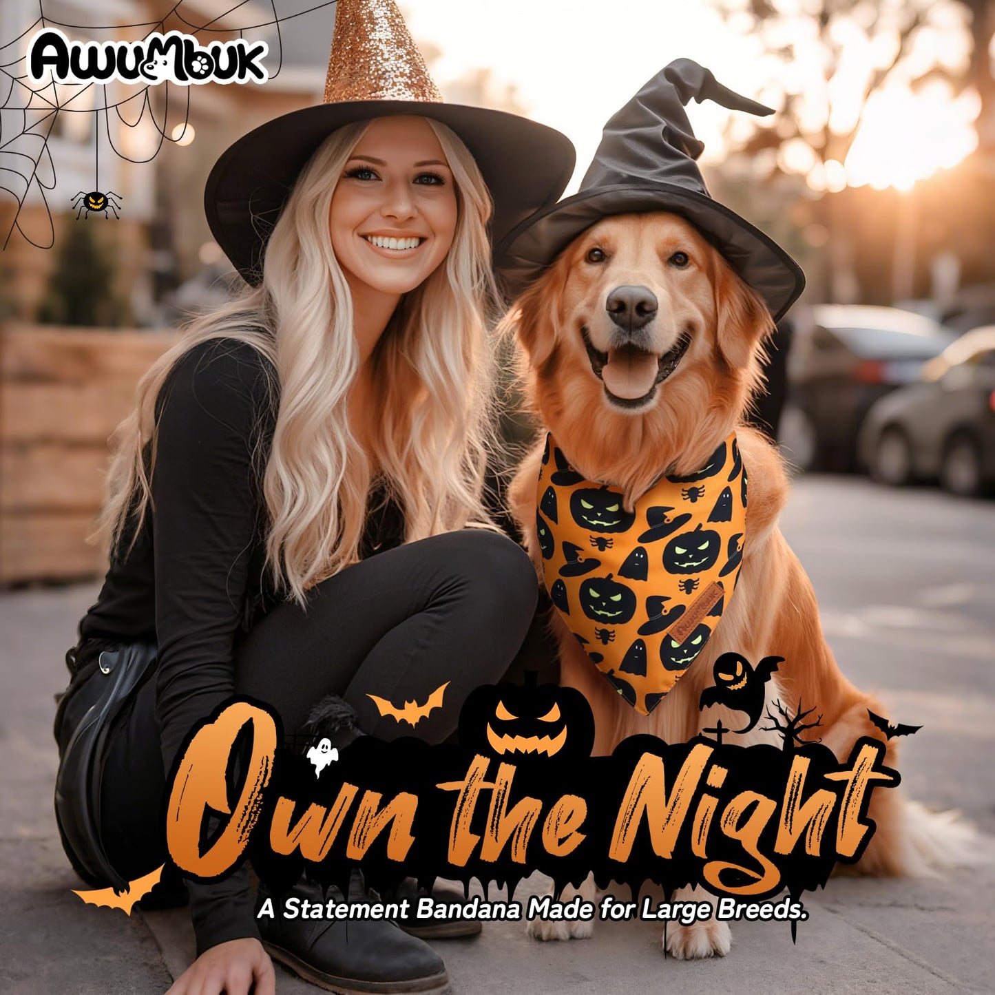 Awumbuk Halloween Dog Bandanas 2 Pack Reversible Pumpkin Spider Web Black