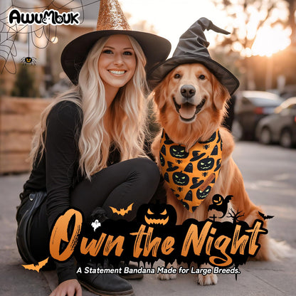 Awumbuk Halloween Dog Bandanas 2 Pack Reversible Pumpkin Spider Web Black