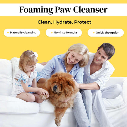 Divine Canine Summer Essentials Dog Care Kit Sunscreen Paw Balm