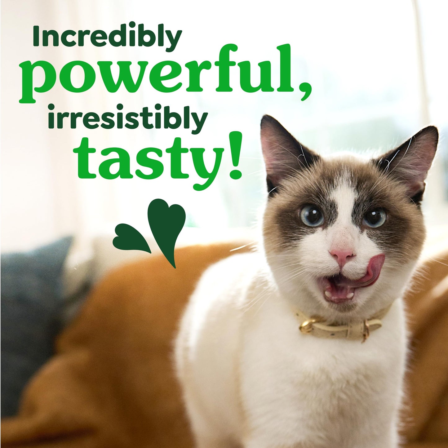 Greenies Cat Treats Adult Natural Dental Tuna Flavor 9.75 oz Tub BEST BY.02/2026