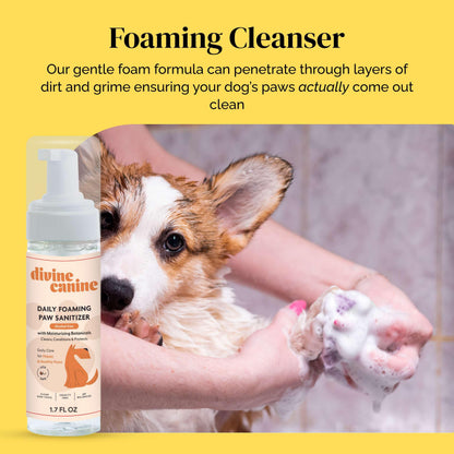 Divine Canine Summer Essentials Dog Care Kit Sunscreen Paw Balm