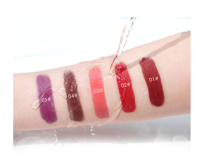 Niceface New Matte Non-Stick Cup Lip Glaze Set With Lip Plumper Texture Lip Gloss