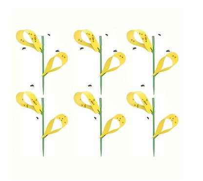 Sticky Houseplant Traps Gnat Yellow Insect Trap Indoor Fruit Fly Stakes Trap