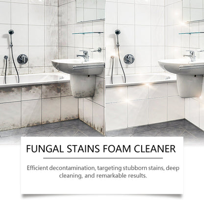 Stain Removal Foam Cleaner, Multi-Purpose Home Cleaner For Moldy Wall Tile