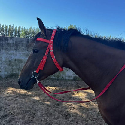 Horse Halter Rope Riding Hose Bridle Fiber