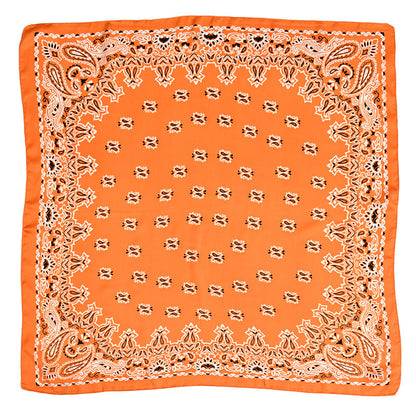 Women's Paisley 70cm Professional Scarf
