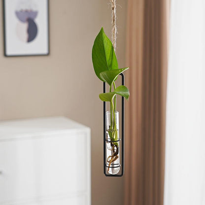 Scandinavian-Style Glass Hydroponic Vase for Living Room with Creative Hanging Door Decor and Wall Ivy Plant Water Cultivation Transparent Pot