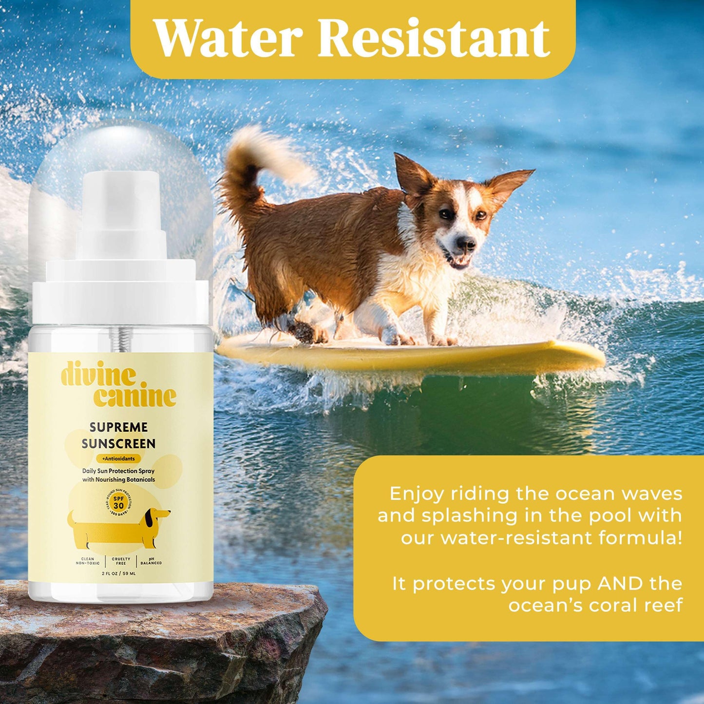Divine Canine Summer Essentials Dog Care Kit Sunscreen Paw Balm