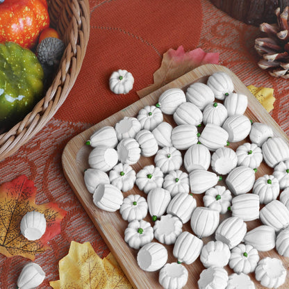 winemana Mini Pumpkins Fall Decorations 80 Pack White Resin Small