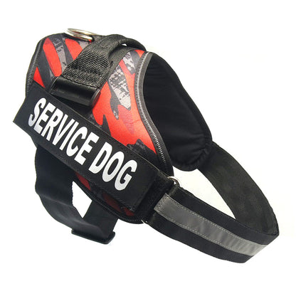Chest strap
