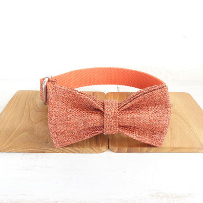 Double-layer thick pet leash