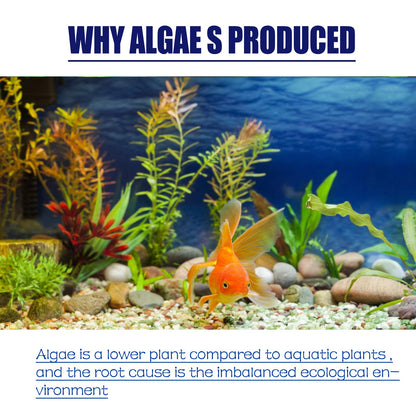 Dealgal Lichen, Aquarium Cleaning Agent Algae Removal Moss Fish Tank Moss Removal Agent Algae Removal From Green Water
