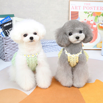 Spring and summer small dog clothes pet teddy lantern skirt