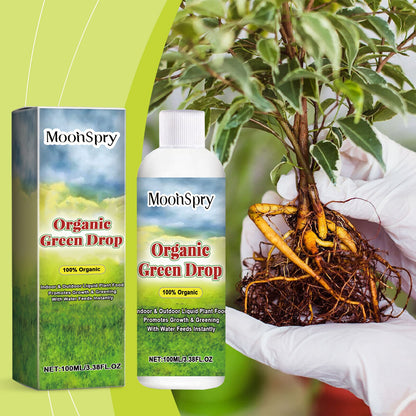 Plant growth Solution potted green leaf lawn flower plant hair root supplement fertilizer nutrient solution