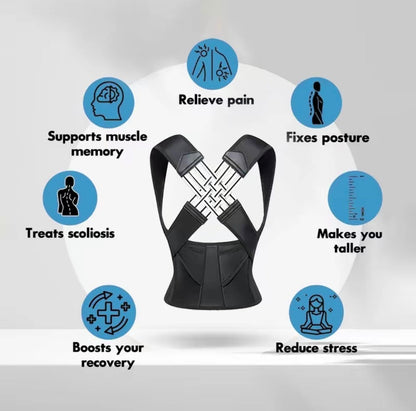 SpineAlign Pro