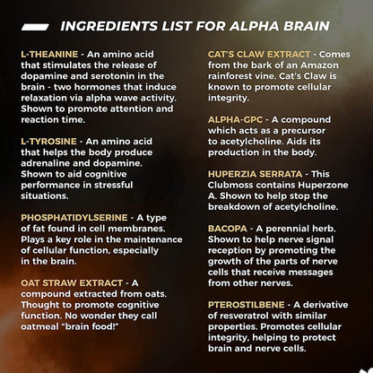 L Theanine Brain Supplement