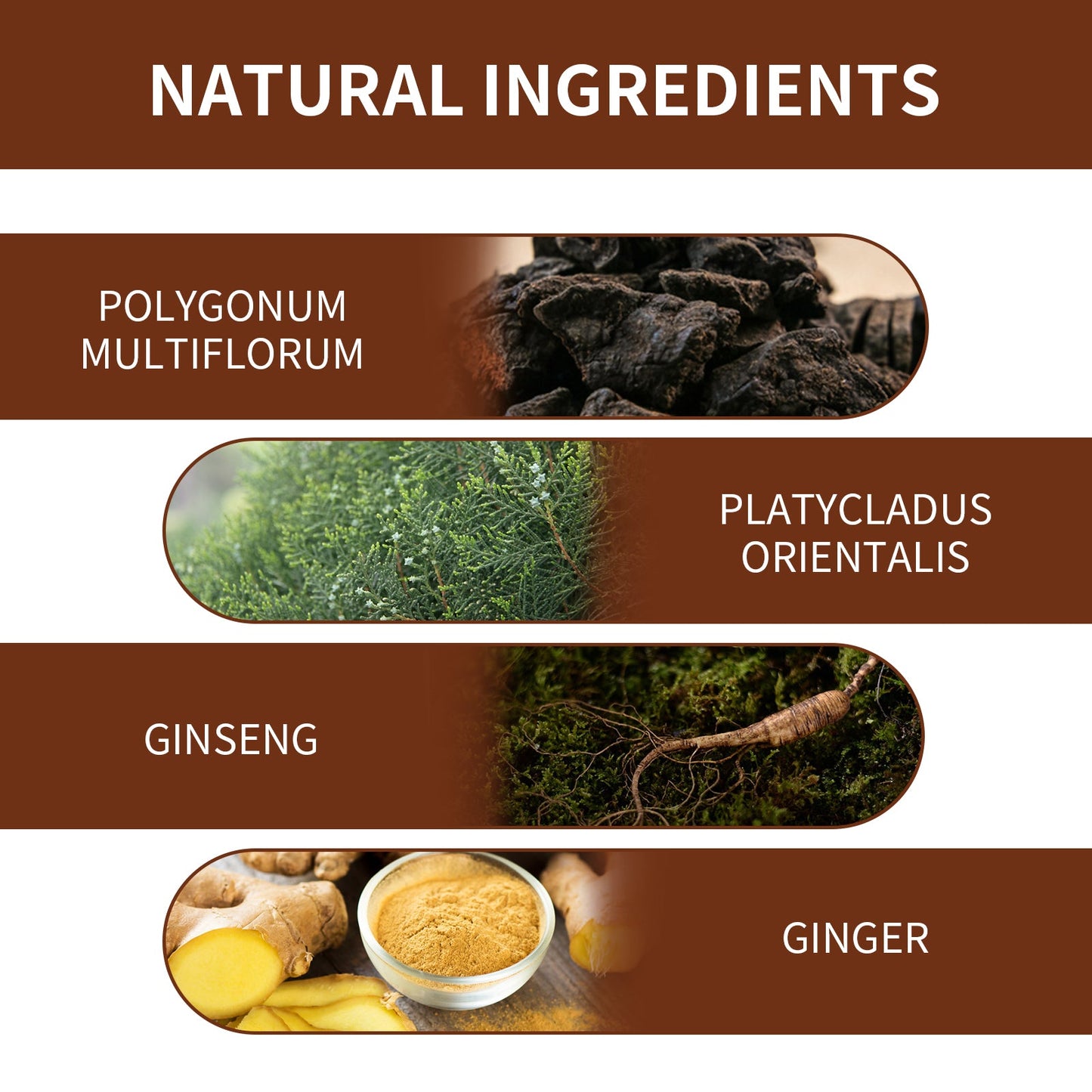 Polykum Multiflorum Repair Shampoo Natural Black Hair Moisturizing And Smoothing Shampoo