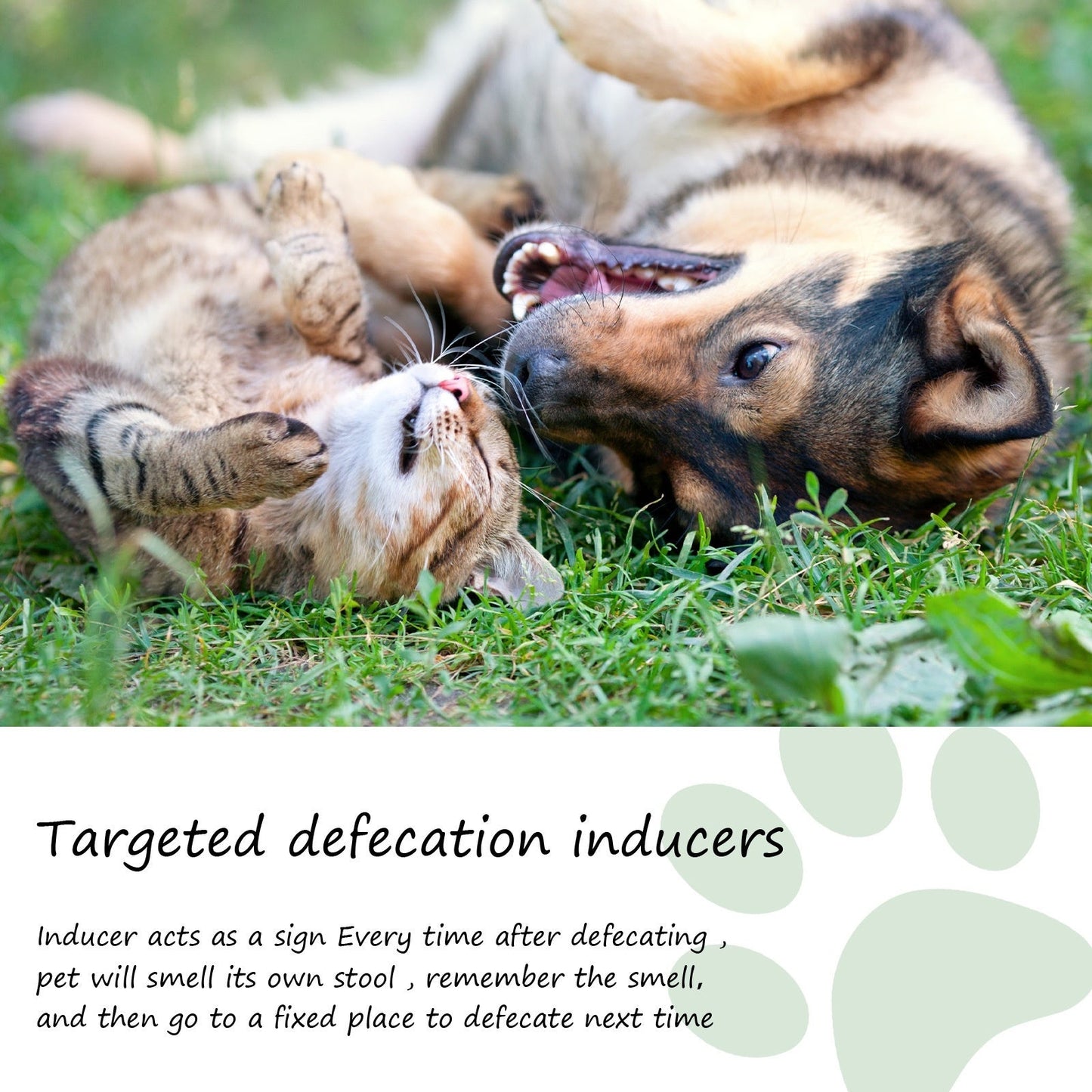Pet Location Training Agent for Toilet Induction and Waste Positioning