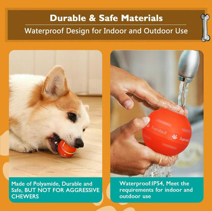 SmartRoll Pet Ball