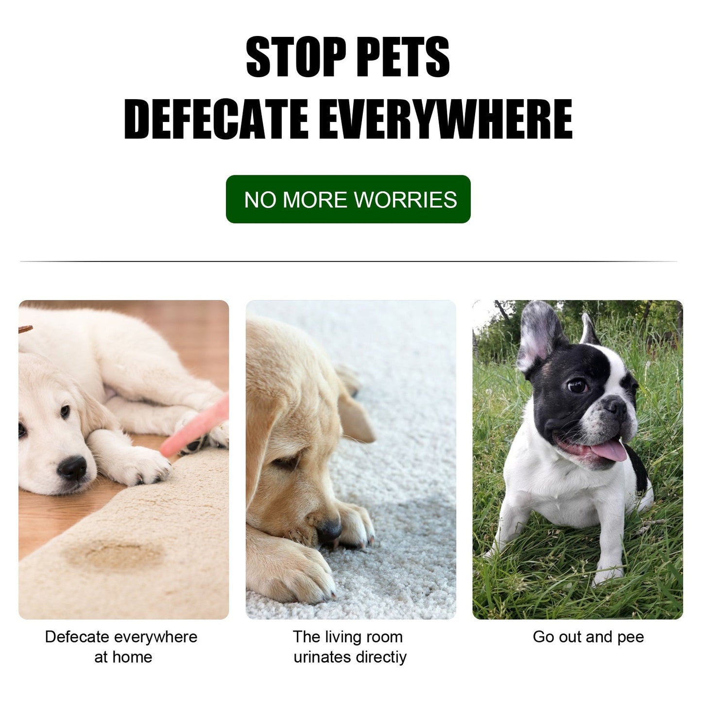 Pet Location Training Agent for Toilet Induction and Waste Positioning