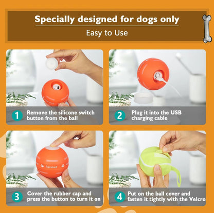 SmartRoll Pet Ball