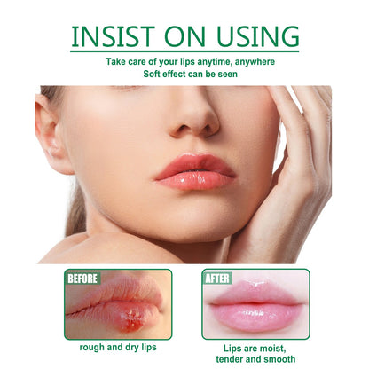 Herbal Medicated Lip Balm, Repair Lips Prevent Dry Crack Remove Dead Skin And Moisturize Care Lip Balm