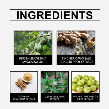 Herbal Hair Care Essential Oil Repair Dry, Hydrating, Smooth And Improve Frizzy Hair Care Essence